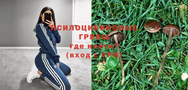 apvp Верея