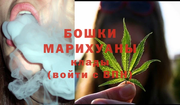 apvp Верея