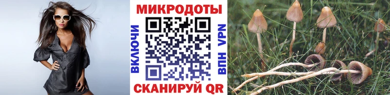 Псилоцибиновые грибы прущие грибы  Островной 